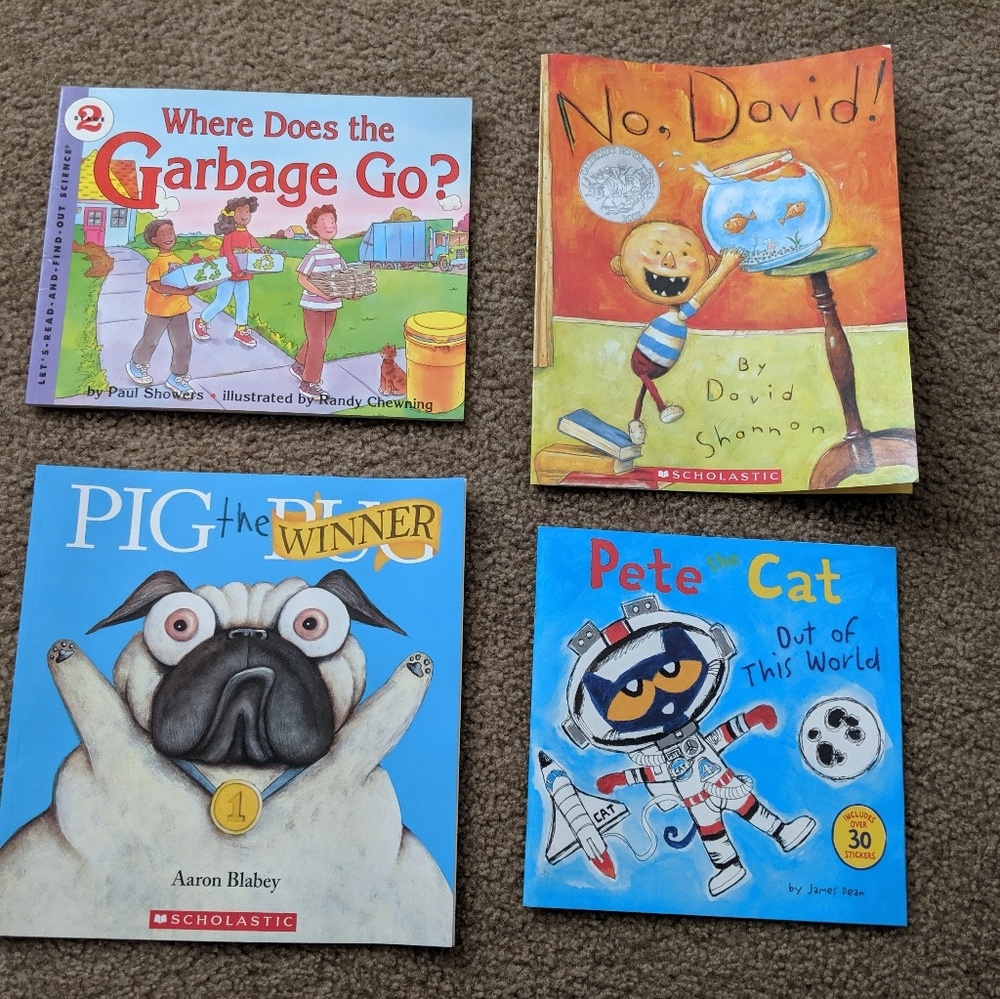 Big book lot